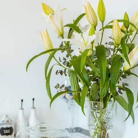 Piccapiana Sea View Attic Flat La Spezia